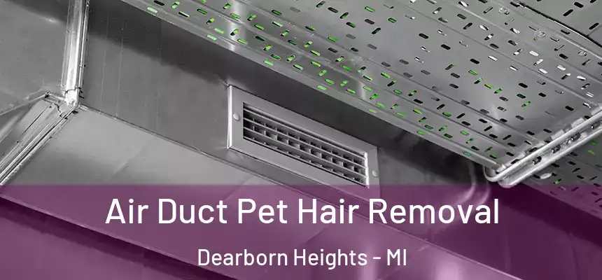  Air Duct Pet Hair Removal Dearborn Heights - MI