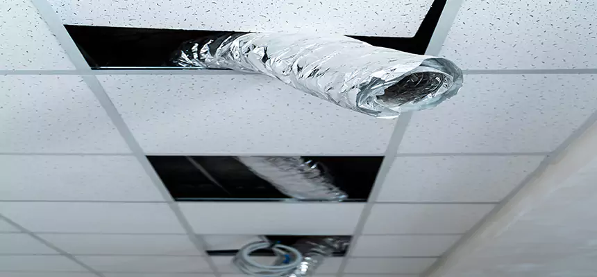 Affordable HVAC Sanitizing After Pest Removal in Dearborn Heights