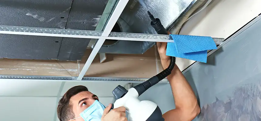 Our Air Duct Rodent Removal Services in Dearborn Heights, MI