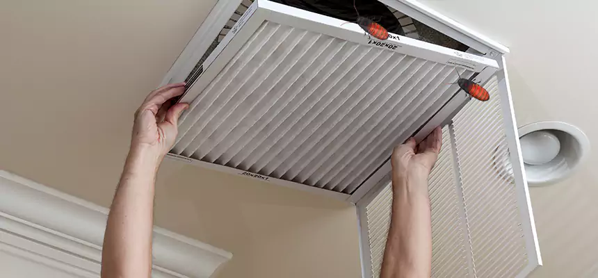 Our Insect Removal from Air Ducts Services in Dearborn Heights, MI