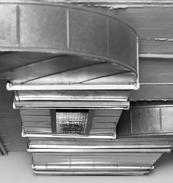 Professional Air Duct Pest Removal in Dearborn Heights, MI