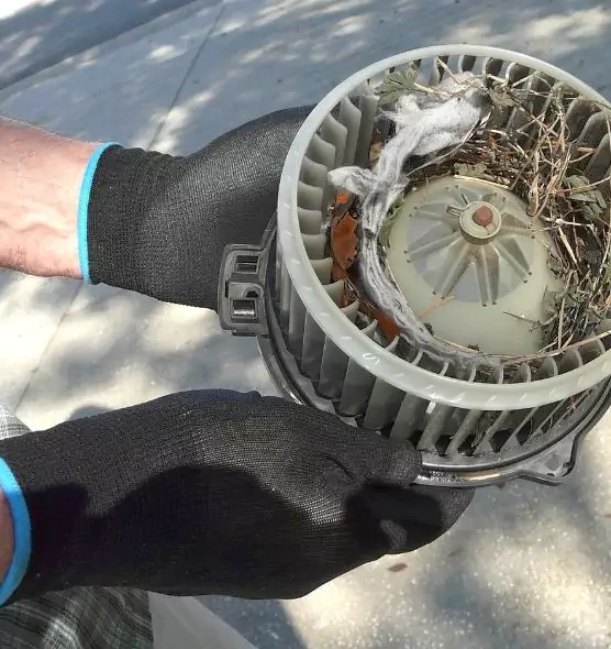 About Air Duct Rat Removal in Dearborn Heights, MI