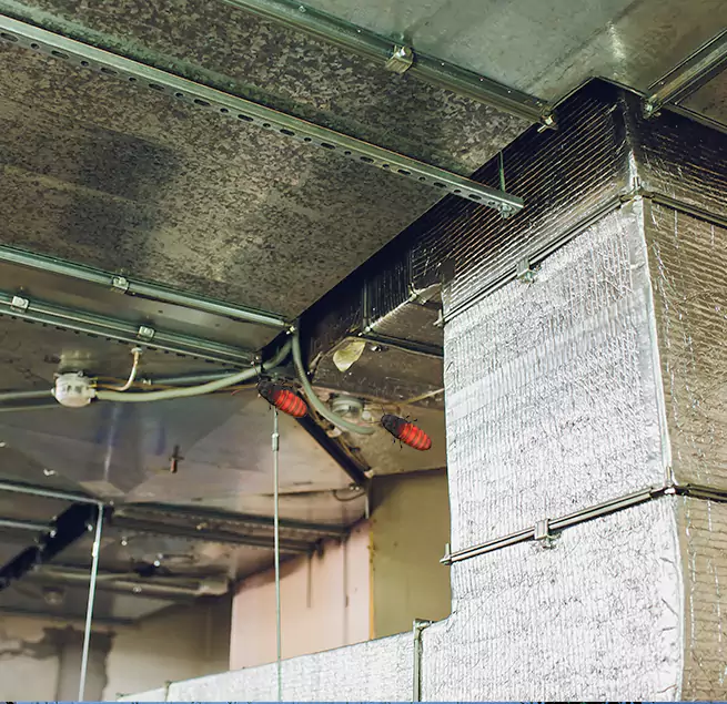 Why Homeowners & Businesses Trust Us in Dearborn Heights, MI?