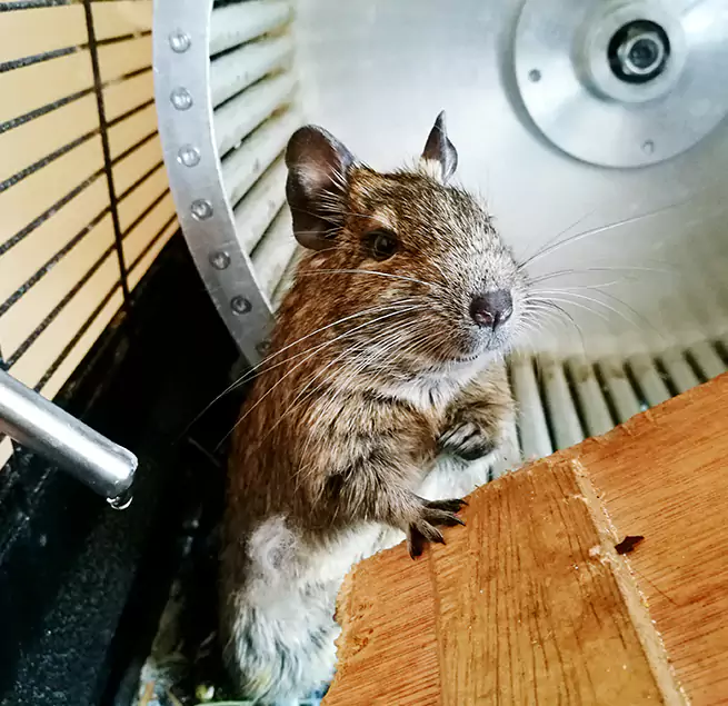 Why Homeowners & Businesses Trust Us Dearborn Heights, MI